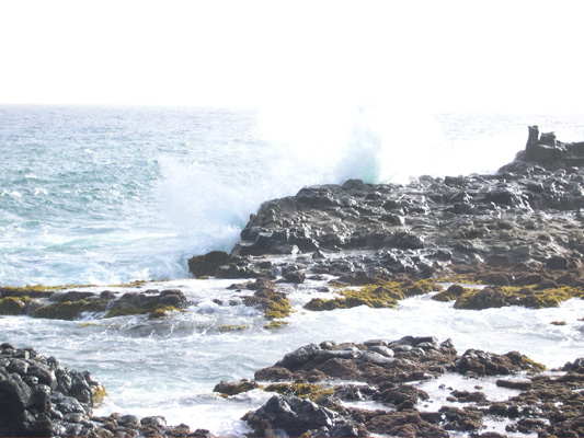 Coast path